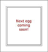 EGG #17 Thumbnail