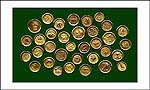 jacksonians on green Thumbnail